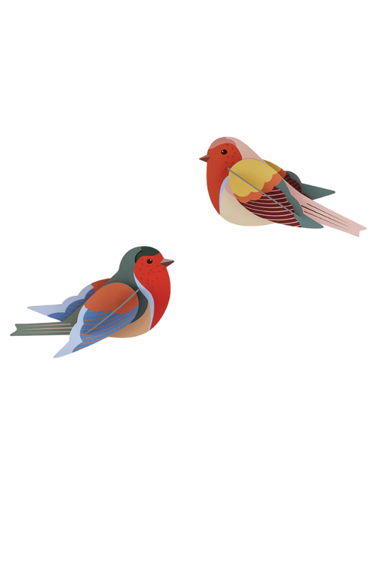 Wall Art Garden Birds - Robins