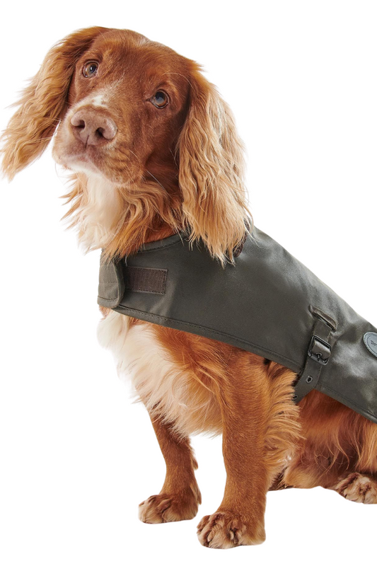 Wax Dog Coat