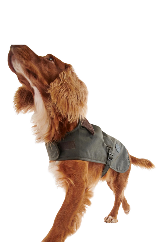 Wax Dog Coat