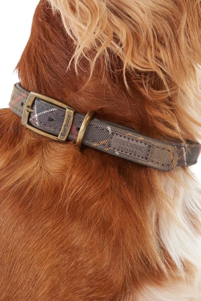 Printed Dog Collar - Classic Tartan