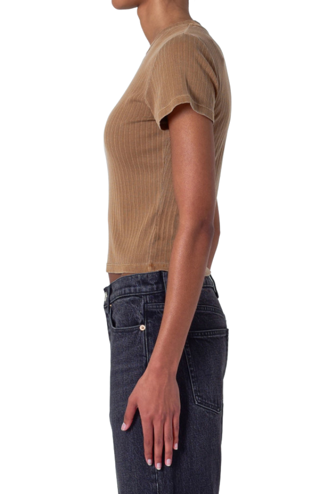 Classic Tee Rib - Teddy