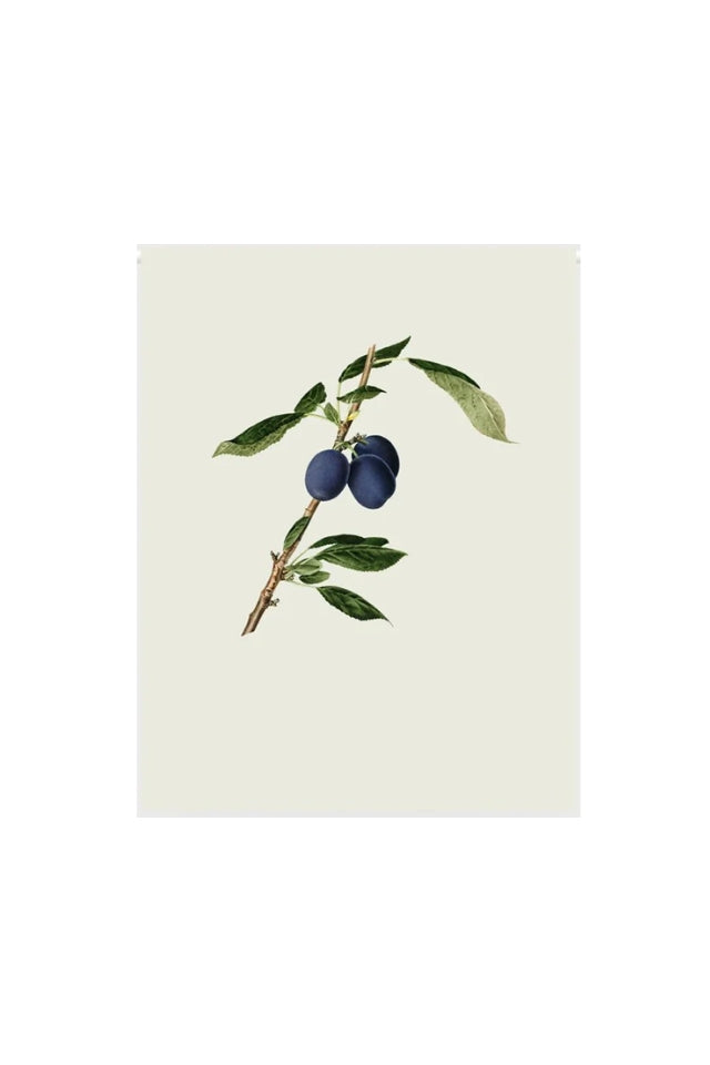 Tea Towel - Plums