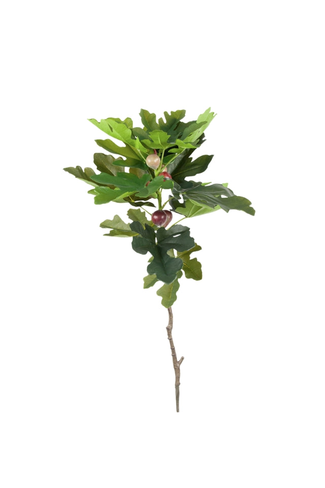 Fig Spray 90cm