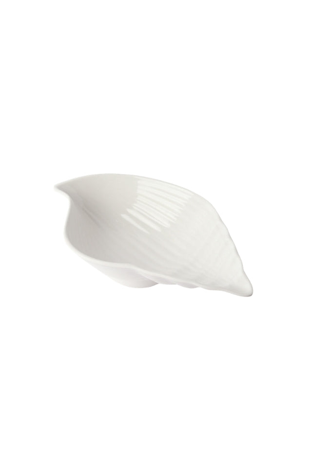 Melamine Conch Shell 40cm - White