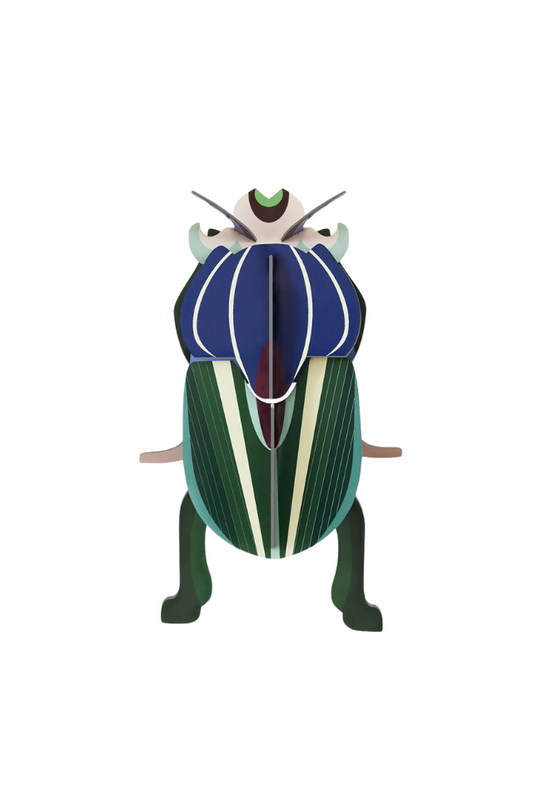 Wall Beetles - Mimela Scarab