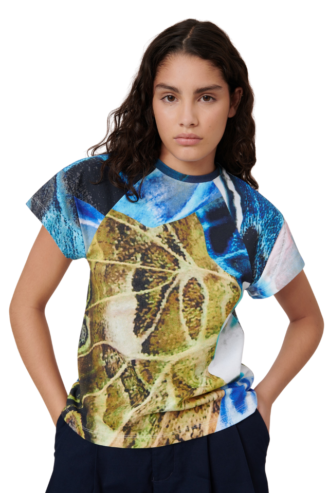 Monarch Top