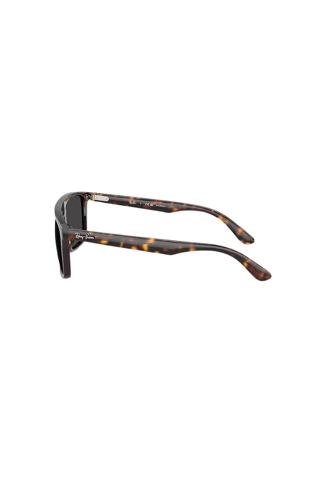 RB2222 - Havana w Polarized Black