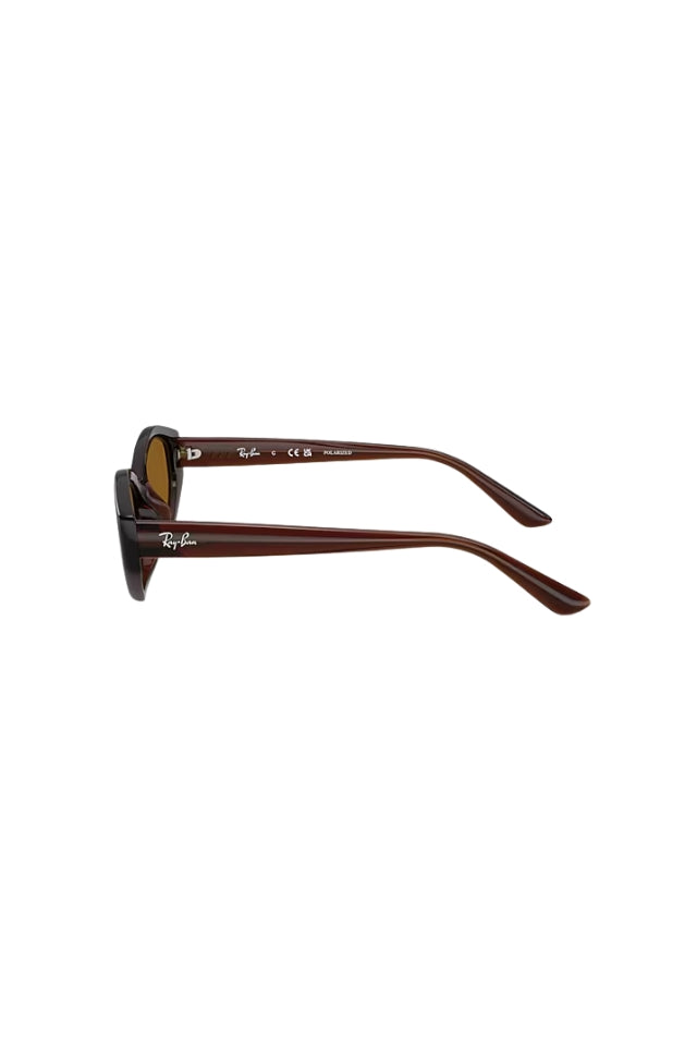 Ray-Ban Sunglasses 0RB4473D - Dark Brown
