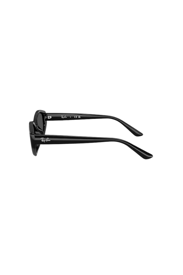 Ray-Ban Sunglasses RB4473D - Black with Dark Grey