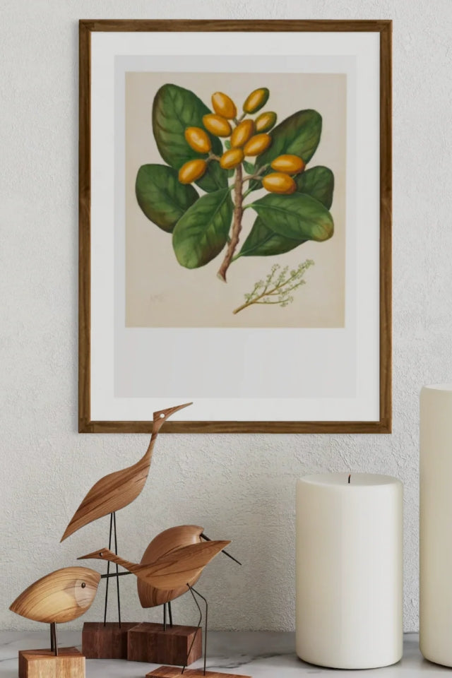 Sarah Featon - Print - Karaka