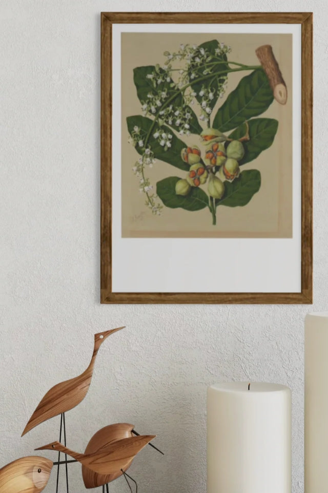 Sarah Featon - Print - Kohekohe
