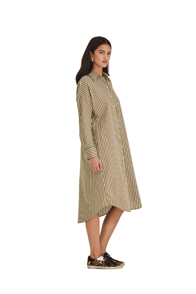 Jules Stripe Shirt Dress - Tan Stripe