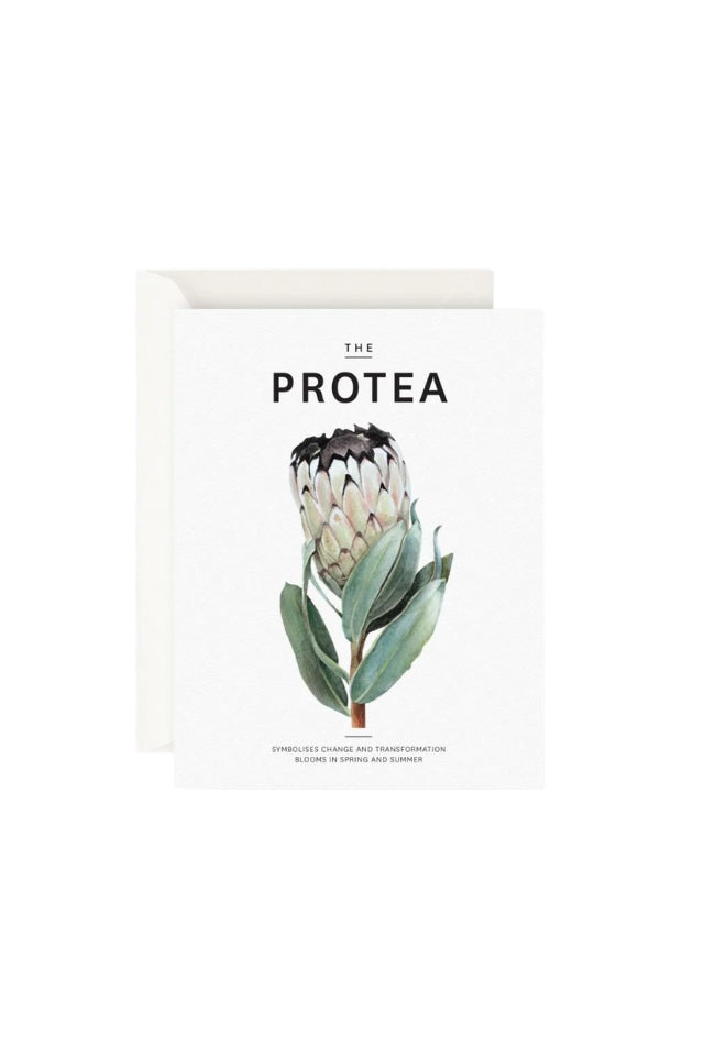 Card | The Protea