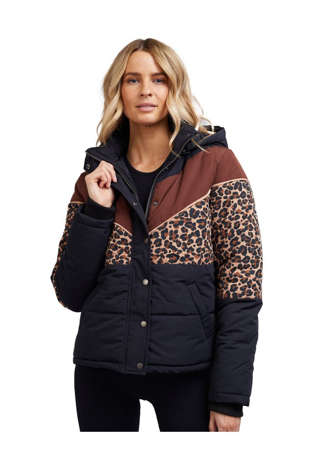 All about eve huxley leopard puffer jacket in black and brown with leopard print