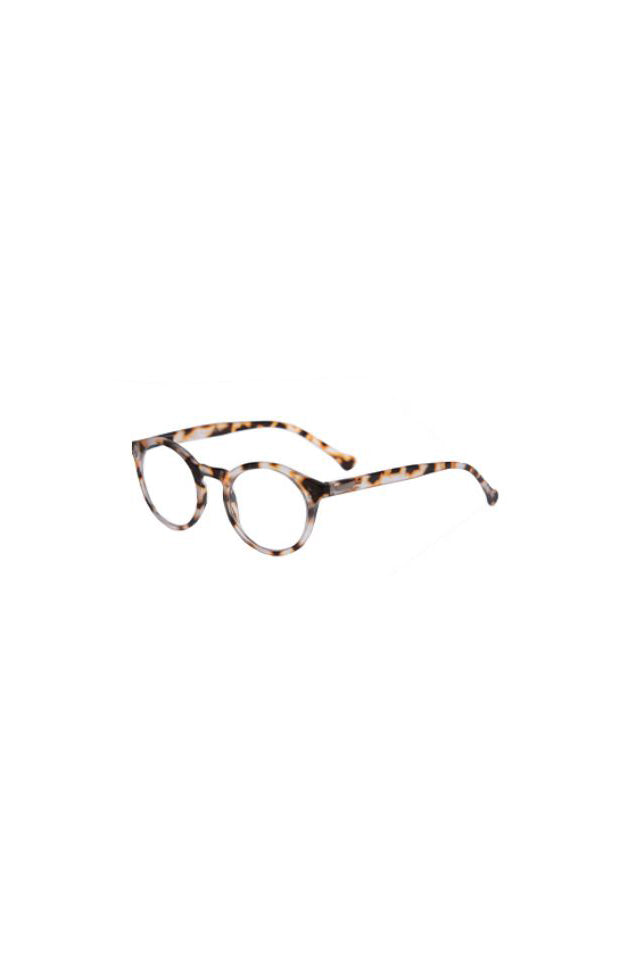 Daily Eyewear 7am Raders Light Brown Tort