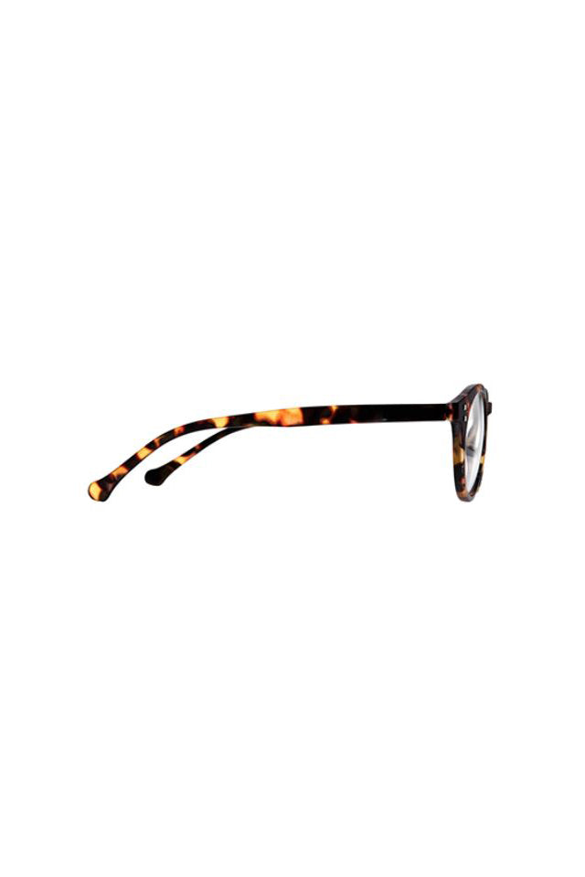 Daily Eyewear 7am Raders Brown Tort