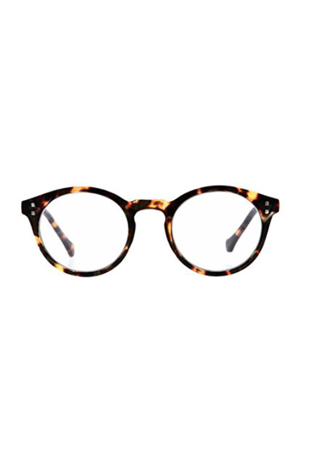 Daily Eyewear 7am Raders Brown Tort